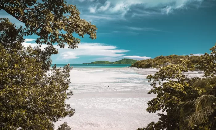 Top Domestic Tourism Destinations You Must Visit This Year
