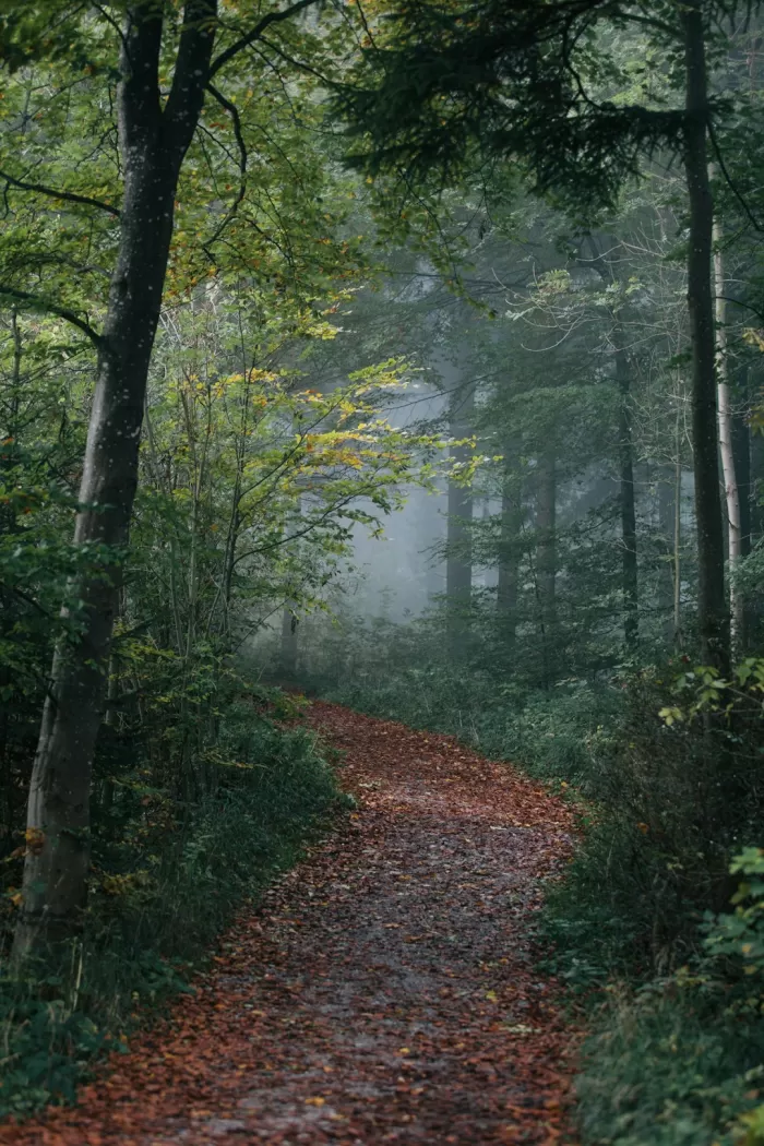 Off-the-Beaten-Path Exploration
